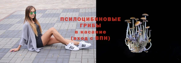 ALPHA PVP Покачи