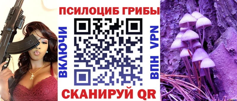 продажа наркотиков  Богородск  Галлюциногенные грибы ЛСД 