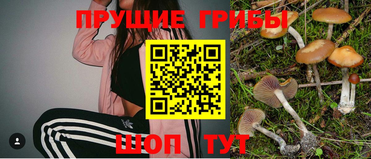 Галлюциногенные грибы Magic Shrooms Богородск